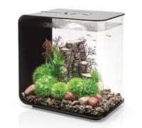 biOrb FLOW 30 Aquarium With Integrated LED Lights (Black, 30 Litres) | Perfect Beginner Fish Tank, Quick & Easy Set Up, 3 Transparent Sides & 5-Step Filtration System, Acrylic Fish Tank