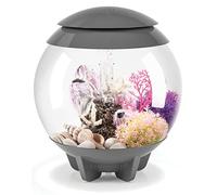 biOrb HALO 15 Acrylic Aquarium, Grey, MCR Multi-Colour Remote LED Lighting, Premium Fish Tank with Hidden Water Line, 5-Step Filtration, Easy Setup, With Air Pump, Filter Cartridge, Ceramic Media