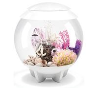 biOrb HALO 15 Acrylic Aquarium, White, MCR Multi-Colour Remote LED Lighting, Premium Fish Tank with Hidden Water Line, 5-Step Filtration, Easy Setup, With Air Pump, Filter Cartridge, Ceramic Media