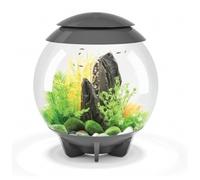 biOrb HALO 30 Aquarium with Multi Colour LED light - remote control - Grey