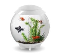 biOrb Halo 30L Aquarium White with LED Lighting
