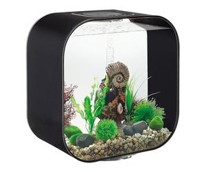 biOrb LIFE 30 Acrylic Aquarium, Black, MCR Multi-Colour Remote LED Lighting, Elegant Fish Tank with 5-Step Filtration System, Easy Setup, Includes Remote, Air Pump, Filter Cartridge, Ceramic Media