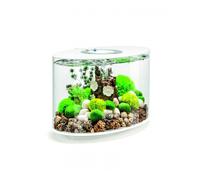 biOrb - LOOP 15 Aquarium with Multi Colour LED light - Remote Control - White