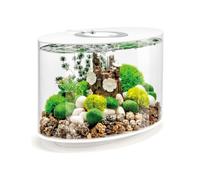 Oase Biorb Loop 15L Aquarium Fish Tank In White With Mcr Led Lighting