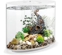 biOrb LOOP 30 Acrylic Aquarium, White, MCR Multi-Colour Remote LED Lighting, Fish Tank with 360-Degree View and 5-Step Filtration, Easy Setup, With Remote, Air Pump, Filter Cartridge, Ceramic Media