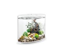 biOrb LOOP 30 Aquarium (White, 30 Litres), Perfect Beginner Fish Tank With Integrated LED Lights, Quick & Easy To Set Up, 360-Degree View Aquarium With 5-Step Filtration System, Acrylic Fish Tank