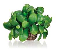 biOrb Mistletoe Ball