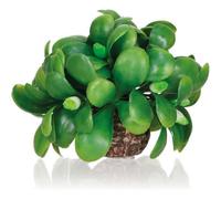 Biorb Mistletoe Ball Christmas Season Aquarium Decor Winter Ornament