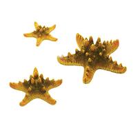 biOrb Ornament Natural Sea Star Set, Yellow