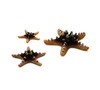 biOrb Ornament Sea Star Set, Natural