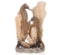 biOrb Ornament Seahorses on Coral Natural Small