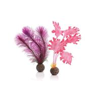 Biorb Pink Purple Sea Kelp Small Medium Twin Pack Plants Aquarium Fish Tank