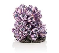 biOrb Purple Barnacle Cluster Ornament Medium