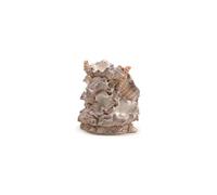 biOrb Samuel Baker Clamshell Ornament, Small, Off White