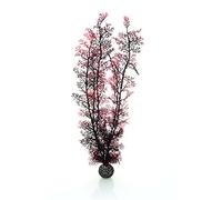 biOrb Sea Fan, Extra Large, Crimson