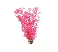 biOrb Sea Fan Medium, Pink