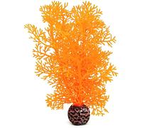 biOrb Sea Fan Small, Orange
