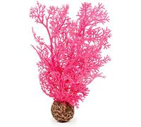 biOrb Sea Fan Small, Pink