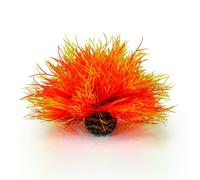 Biorb Sea Lily Blue Crimson White Orange Flame Aquarium Fish Tank Decoration