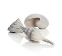 BiOrb Sea Shell Set In White - Pack Of 3 - 46133 - New Sealed - Free Postage