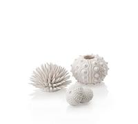 Biorb Sea Urchins Set White White