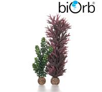 BiOrb Seapearls & Kelp Olive Green Pk of 2 55073