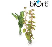 BiOrb Silk Plant Set Green Medium Pk of 2 46100