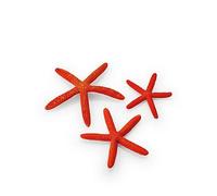 Biorb Starfish Set 3 Red Red