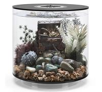 biOrb TUBE 15 Acrylic Aquarium, Black Standard White LED Lighting, 360-Degree View, 5-Step Filtration System, Easy Setup, Includes Air Pump, Filter Cartridge, Ceramic Media, 15 Litre Fish Tank