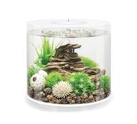 biOrb TUBE 15 Aquarium (White, 15 Litres), Perfect Beginner Fish Tank With Integrated LED Lights, Quick & Easy To Set Up, 360-Degree View Aquarium With 5-Step Filtration System, Ceramic Base