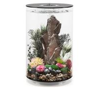 biOrb TUBE 30 Acrylic Aquarium, Black Standard White LED Lighting, 360-Degree View, 5-Step Filtration System, Easy Setup, Includes Air Pump, Filter Cartridge, Ceramic Media, 30 Litre Fish Tank