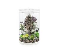 biOrb TUBE 30 Acrylic Aquarium, White, MCR Multi-Colour Remote LED Lighting, Fish Tank with 360-Degree View & 5-Step Filtration, Easy Setup, Includes Remote, Air Pump, Filter Cartridge, Ceramic Media