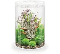 biOrb TUBE 30 Aquarium (White, 30 Litres), Perfect Beginner Fish Tank With Integrated LED Lights, Quick & Easy To Set Up, 360-Degree View Aquarium With 5-Step Filtration System, Ceramic Base