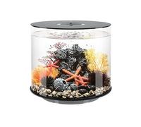biOrb TUBE 35 Acrylic Aquarium, Black, MCR Multi-Colour Remote LED Lighting, Fish Tank with 360-Degree View & 5-Step Filtration, Easy Setup, Includes Remote, Air Pump, Filter Cartridge, Ceramic Media