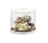 biOrb TUBE 35 Acrylic Aquarium, White, MCR Multi-Colour Remote LED Lighting, Fish Tank with 360-Degree View & 5-Step Filtration, Easy Setup, Includes Remote, Air Pump, Filter Cartridge, Ceramic Media