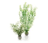Biorb Winter Flower & Fern Twin Pack Plants Aquarium Fish Tank Decoration