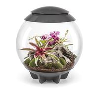 BiOrbAIR 60 Litre Automatic Terrarium in Grey with LED Lighting