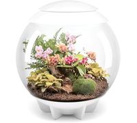 BiOrbAIR 60 Litre Automatic Terrarium in White with LED Lighting