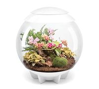 BiOrbAIR 60 Litre Automatic Terrarium in White with LED Lighting