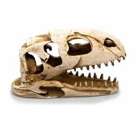 Biotope Aquatics Ltd - Aquarium Ornaments, Fish Tank Polyresin Swim Through Decorations, Multiple Designs - Dinosaur, Skull, Boat, Ship, Tree Root, Wood, Cave (Gigantic Dinosaur Skull #206 (19cm))