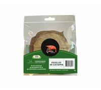 Biotope Aquatics Ltd - Aquarium Shrimp Keeping Foods & Accessories - Lolly Sticks, Balls & Caves Mixed Flavours 100% Natural Feed (1 (pack/item), Catappa Leaves (x10))