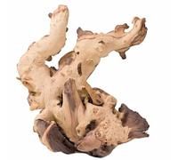 Biotope Aquatics Ltd Aquarium Sinkable Mopani Driftwood - Various Sizes - Natural Bogwood Fish Tank Wood Decoration Landcaping Java Fern or Moss (10-23cm)