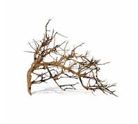 Biotope Aquatics Ltd Ramous Root Driftwood Decoration for Aquarium, Fish Tank, Different Sizes (Large (30-40cm))
