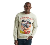 Dragon Ball Z Hero Group & Dragon Ball Crew Neck Long Sleeve Tofu Reversible Sweatshirt, Off-white, XXL