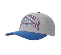 Bioworld The Legend of Zelda Hyrule Shield Gray & Blue Snapback Hat, Ntn Hyrule Shield, One size