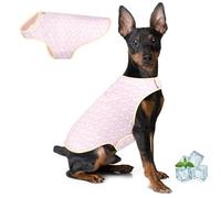 BiPawTi Dog Cooling Vest for Summer, Evaporative Cooling, Soft & Adjustable Pet Vest with UV Protection - Keeps Dogs Cool on Hot Days During Walks, Hunting & Outdoor Play - Pink, M