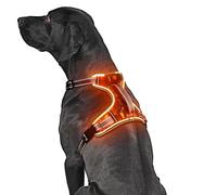 BiPawTi Led Dog Harness, Safety Vest Harness with Soft Handle (Orange, M)