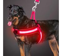 BiPawTi LED Dog Vest Harness, Light Up Dog Harness for Large Dogs, USB Rechargeable 3 Flashing Modes Glow in the Dark, Reflective Safety Pet Vest for Night Walking/Camping, Pink (Red Light) - XL