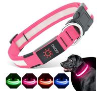 BiPawTi LED Luminous Dog Collar for Dogs, Rechargeable Luminous Collar with 3 Light Modes, Glows in the Dark Collars for Large Dogs, Stylish Accessories for Camping with Dog, Pink, L