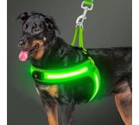 BiPawTi Light Up Dog Harness Glows in the Dark, Flashing Dogs Safety Pet Vest with 3 Lighting Modes for Night Walking, USB Rechargeable, Step in LED Vest Harness for Outdoor Walking/Camping, Green - L